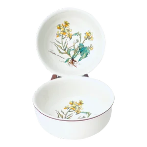 Vintage Villeroy & Boch Botany Cereal/Soup Bowls- Set of 2