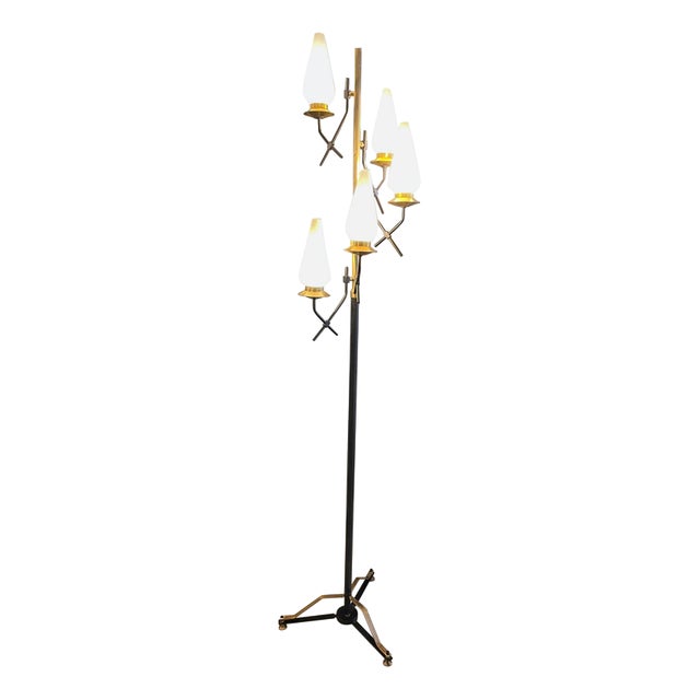 Floor Lamp with Five Arms from Stilnovo, 1950s For Sale