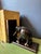 Wood Vintage Ebony Elephant Bookends, 1950, Set of 2 For Sale - Image 7 of 11