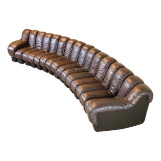 DS600 Non-Stop Snake Sofa in Brown Leather by Ueli Berger for de Sede, 1970s, Set of 16 For Sale