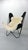 BKF Butterfly Chair attributed to Jorge Hardoy-Ferrari for Knoll, 1960s For Sale - Image 15 of 18