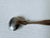 Metal Antique C.W. Hurll Pure Coin Silver Salt Spoon For Sale - Image 7 of 9