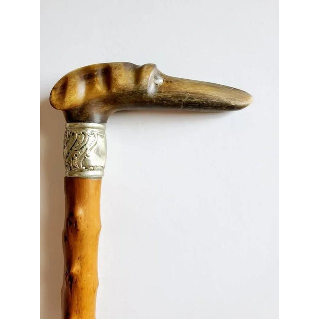 Early 20th Century Hand Carved Italian Greyhound Walking Cane For Sale - Image 10 of 11
