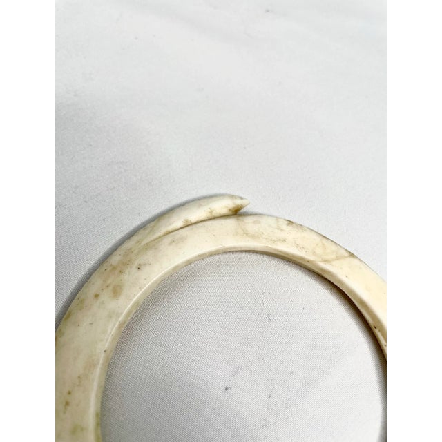 Antique Mounted New Guinea Abelam Currency Shell Rings- a Set of 3 For Sale - Image 11 of 12