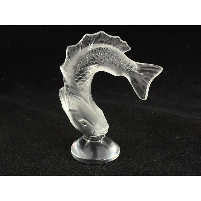 Transparent Vintage Lalique Crystal Koi Fish Figurine – Signed For Sale - Image 8 of 8