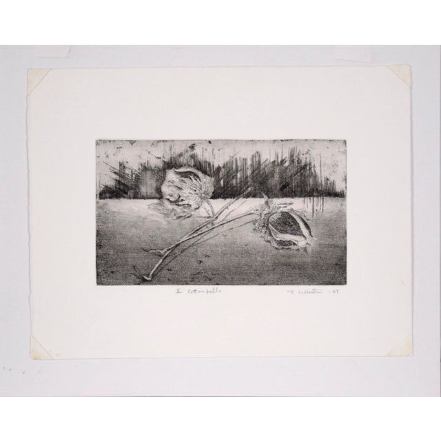 Abstracted drypoint etching by Tomoya Uchida (Japanese, 20th Century). Two cottonballs on the stalk sit in a minimalist...