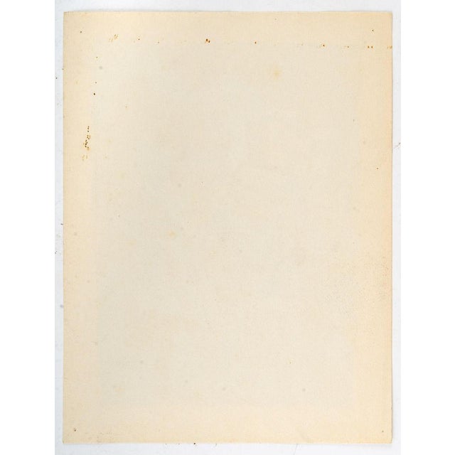 Woman With a Mandolin, 20th Century, Oil on Paper For Sale - Image 4 of 5