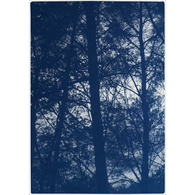 2021 "Forest Silhouette Sunset" Forest Landscape Cyanotype Triptych Print on Watercolor Paper - Set of 3 For Sale - Image 4 of 8