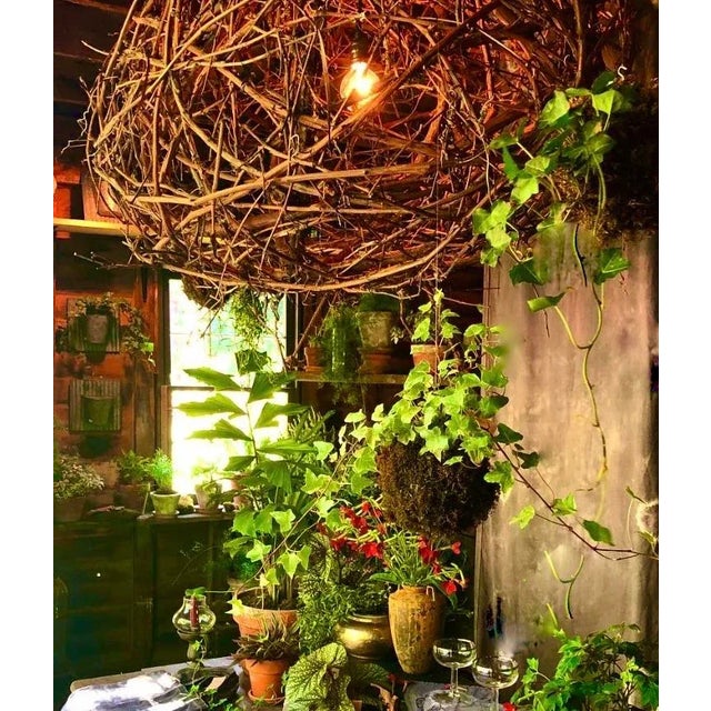 Contemporary Hand-Woven Vine Ball/Pendant Lamp Shade For Sale - Image 4 of 6