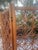 1960s Vintage Japanese 4 Panel Teak Screen Circa 1960 For Sale - Image 5 of 5