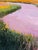 Pink skies at golden hour; lowcountry marshscape sunset. One-of-a-kind original oil painting on a 12x12 inch canvas. Sides...