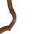 Venetian Art Nouveau Hand Carved & Shaped Walnut Wall Mirror, 1910s For Sale - Image 6 of 8
