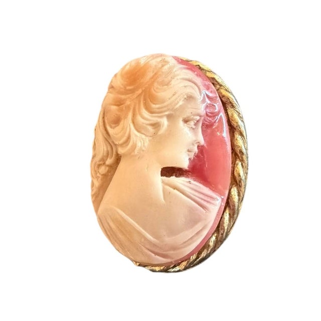 Mid-Century Modern 1970s Mid-Century Cameo Brooch For Sale - Image 3 of 4