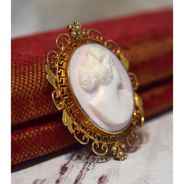 Antique 14K Conch Shell Cameo with Seed Pearls Brooch and Pendant This lovely antique cameo is carved from a Conch shell....