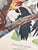 American 1964 Audubon Folio Lithograph Great Bird Paintings – “Pileated Woodpecker” 17x14 For Sale - Image 3 of 4