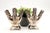 Modern Style Silver Vases, Set of 2, in Good conditions.