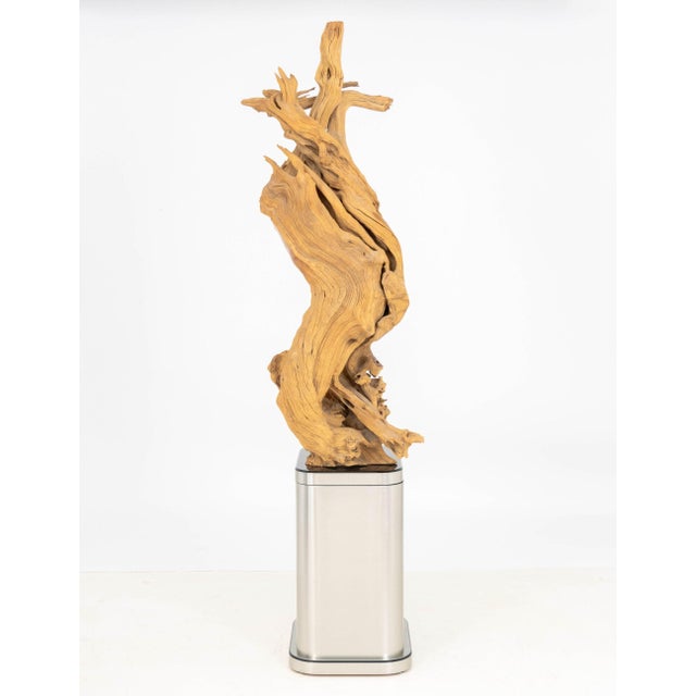 Dale Zarrella Portrait Driftwood Sculpture, 1996 For Sale - Image 17 of 18