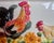 Vintage KMC Ceramics 3-D Rooster, Hen & Sunflower Bread Box Charming vintage KMC Ceramics bread box featuring a delightful...