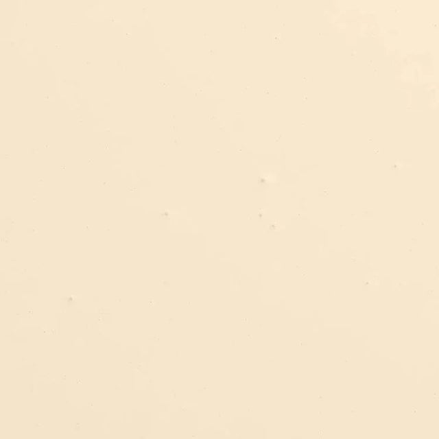 Contemporary BACKDROP Standard Finish Interior Paint in Palo Santo (Earthy, Yellow-Biege) - 1 Gallon For Sale - Image 3 of 5