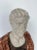 Renaissance Early 20th Century Large Marble Specimen Bust of Julius Caesar For Sale - Image 3 of 9