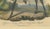 2nd Cavalry Regiment of the Kings German Legion, 1828, Paper For Sale - Image 3 of 7