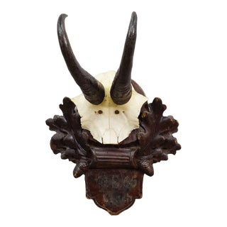 Antique Chamois Trophy on Carved Plaque, Germany Ca. 1900 For Sale