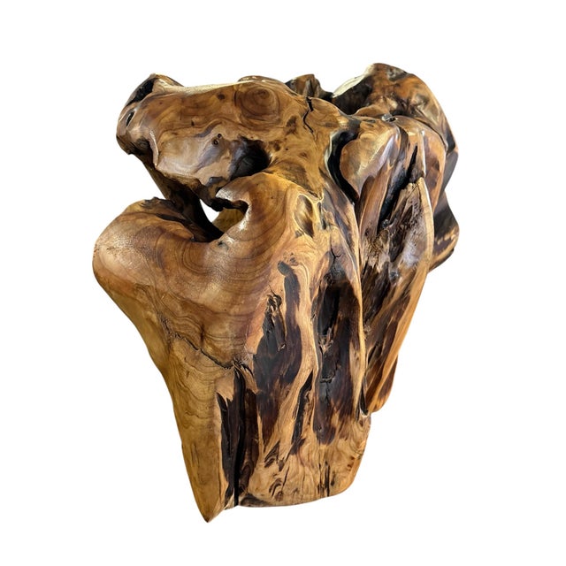 Amorphic Handcrafted Root Wood Wine Rack For Sale - Image 4 of 9