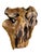 Amorphic Handcrafted Root Wood Wine Rack For Sale - Image 4 of 9