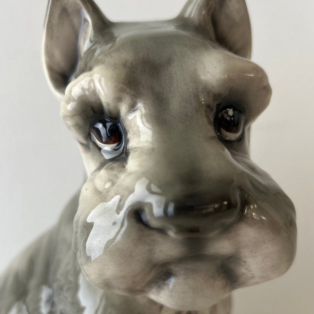 Adorable, vintage, gray and white schnauzer figurine in seated position. Signed Danovi on bottom. 11” tall.