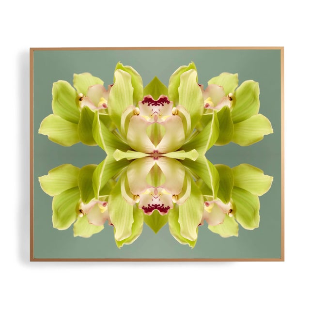 "No. 287" Erin Derby Op Art Limited Edition Print For Sale - Image 4 of 8