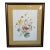 Vintage Botanical Illustration “Spring Floral” by C. Augeri, Large Framed Wall Art For Sale