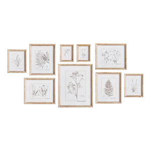 Botanical Study In Sepia, Set Of 9