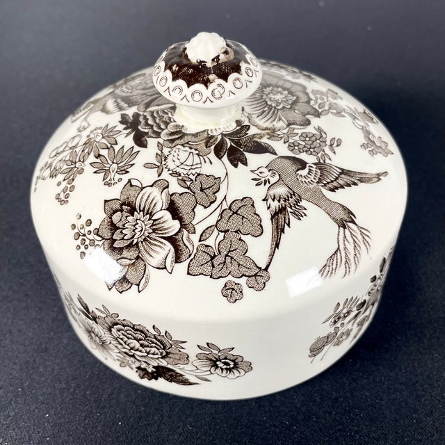 Pheasants Ceramic White and Brown Butter Dish from Wedgwood, 1960s For Sale - Image 4 of 14