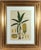 Pair of Hand-Colored Copper Engravings of Banana Plants Georg Eberhard Rumphius, Herbarium Amboinense, edited by Johannes...