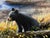 Textile Chuck Black "Routine Visitors" Mountain Wildlife Artwork For Sale - Image 7 of 12