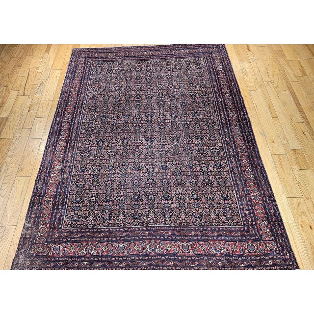 "This exquisite room-size antique Persian Bidjar rug, dating to the early 1900s, features a timeless allover Herati...