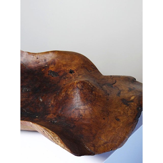 Large Bowl in Dark Raw Wood, 1950s For Sale - Image 12 of 17