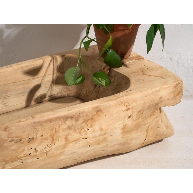 Light Yellow Garden Wooden Bowl, 1900s For Sale - Image 8 of 14