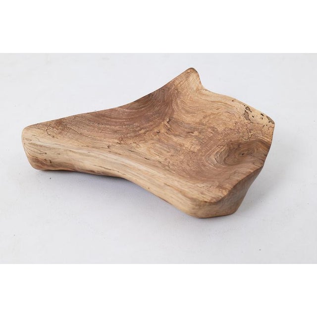 Brown Wooden Bowl by Logniture For Sale - Image 8 of 12