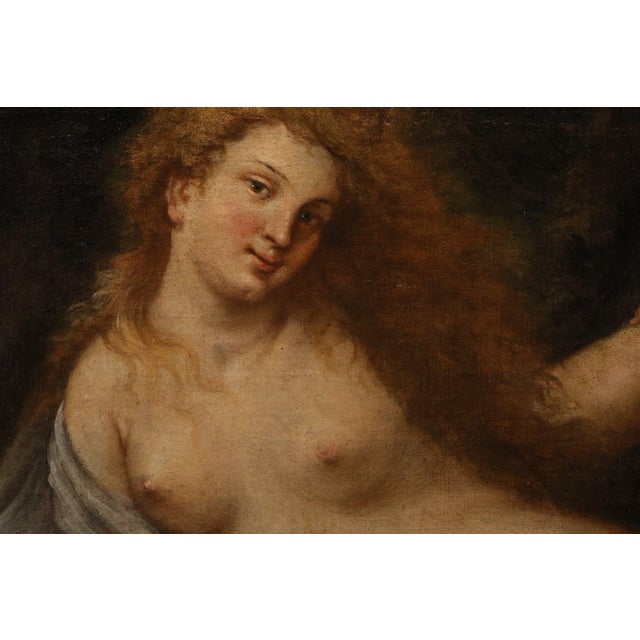 Baroque Federico Cervelli, Venus with Three Putti, Nude, 1680, Oil on Canvas For Sale - Image 3 of 14