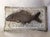 Antique 19thC Desk, Writing Accessory, Fish Paperweight, Cast Iron For Sale - Image 4 of 5