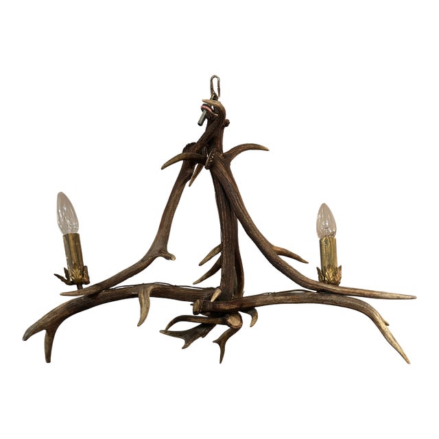 Authentic Antler Chandelier For Sale