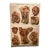 Genito-Urinary Anatomical Chart, Paper on Canvas, 1922 For Sale