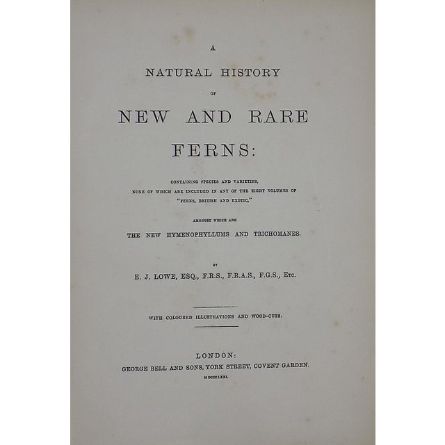 Antique 19th Century Botanical Fern Wood Engravings - Set of 9 For Sale In Cincinnati - Image 6 of 7