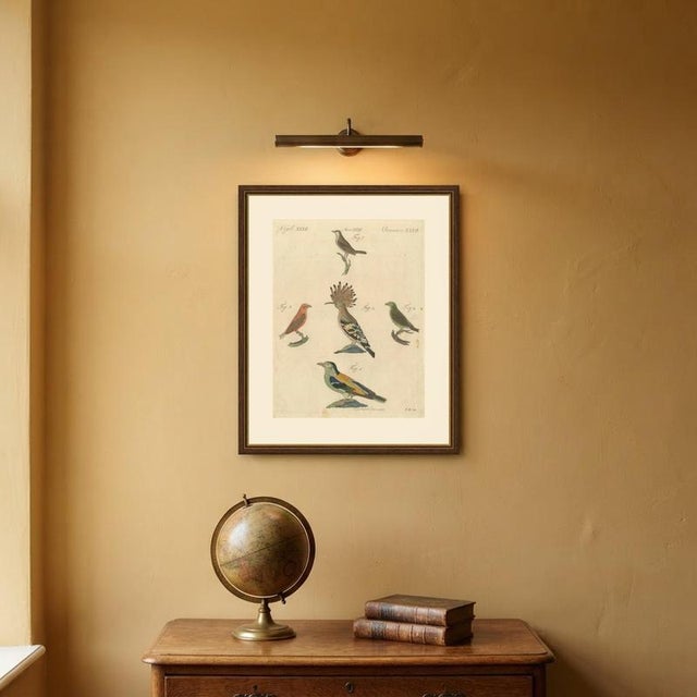 Bertuch, Hoopoe, Roller and Crossbills, 1805, Print For Sale - Image 10 of 12