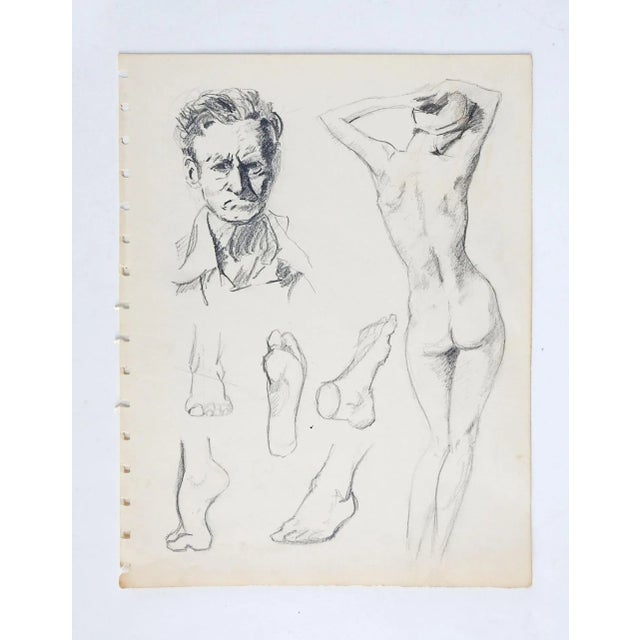 Mid-Century Modern Vintage Mid Century Drawing Studies For Sale - Image 3 of 4