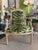 Wood 19th Century Louis XVI Style French Chairs With Scalamandre Le Tigre Fabric - A Pair For Sale - Image 7 of 8