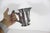 Antique Quadruple Silver Plate Pitcher Creamer Vase Hartford Etched Bird For Sale - Image 4 of 16