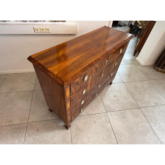 Biedermeier Chest of Drawers in Walnut For Sale - Image 6 of 17