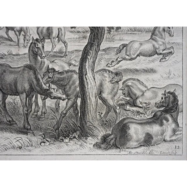 Black 18th Century Equestrian Horsemanship Engravings Framed - A Pair For Sale - Image 8 of 10